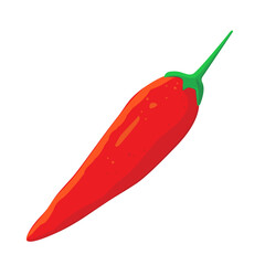 Red chili pepper isolated on white background. Vector illustration of vegetable.
