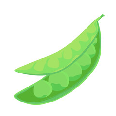 Green peas isolated on white background. Vector illustration of vegetable