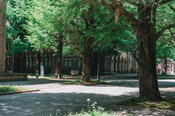 東京大学 休日の本郷キャンパス