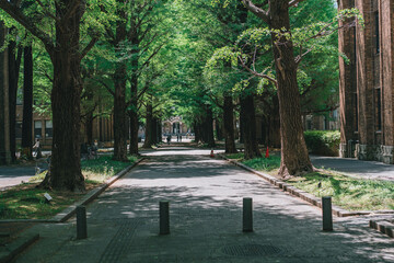 東京大学 休日の本郷キャンパス