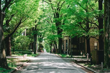 Zelfklevend Fotobehang 東京大学 休日の本郷キャンパス © sasapage