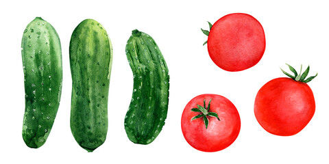 Watercolor illustration with seasonal vegetables, tomatoes and cucumbers