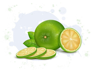 Green Sweet Lemon Fruit  ( Masambi) With round slices vector illustration 