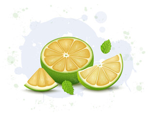 Half Piece of Mousami Fruit vector illustration with fruit slices and  mint leaves