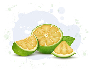 Half piece of Sweet lemon fruit vector illustration with fruit slices and green leaf