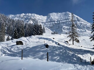 Fairytale alpine winter atmosphere and snow-covered mountain peak Lütispitz (Luetispitz or Lutispitz 1655 m) in the Alpstein massif and over the Obertoggenburg alpine valley - Nesslau, Switzerland