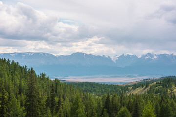 Dramatic mountain landscape with green coniferous forest hills and high snowy mountain range under rainy cloudy sky. Atmospheric aerial view to conifer forest and large snow mountains in overcast.