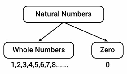 natural numbers and whole numbers line