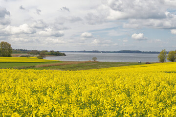 Obraz premium Schlei