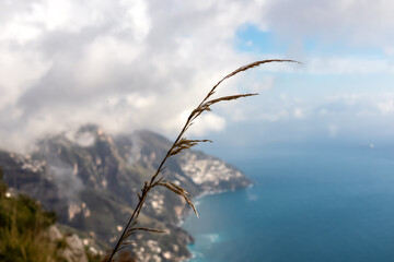 Selective soft focus dry grass, reeds, blowing in wind with panoramic view on Positano appearing from clouds. Hiking in Lattari Mountains, Apennines, Amalfi Coast, Campania, Italy, Europe. Misty vibes