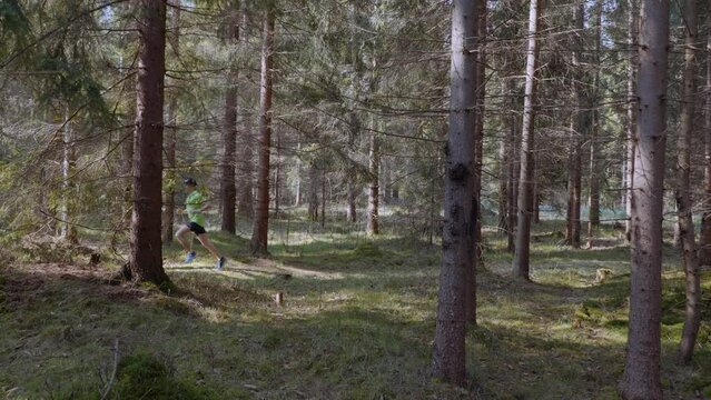 Bieganie po lesie w g&oacute;rach 
Running in the woods