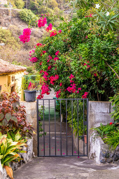Nice vacation view of a little gate to a Spanish house with exotic bougainvillea flowers among. Pretty summer postcard image of a typical Mediterranean or Canarian  village.
