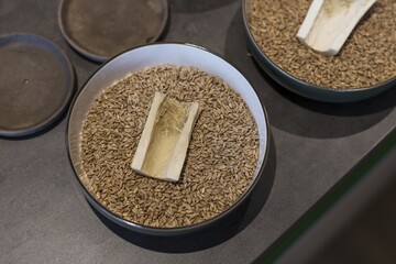 Preparing dinner. Carrot bone, wheat, plate. Slate table, close-up, dining, background, lighting. Beautiful surroundings, adventure restaurant.