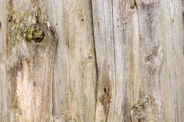 Surface of an old wooden fence