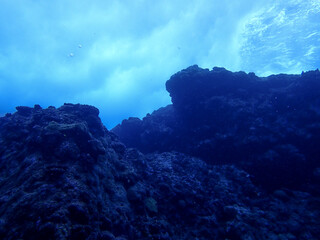 Underwater in Saipan, Mariana Islands