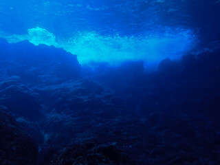 Fototapeta na wymiar Underwater in Saipan, Mariana Islands