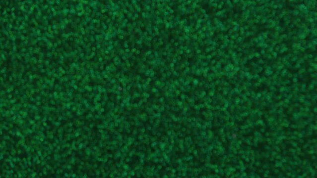 Upward movement. Green background with shiny dots in shades of green.