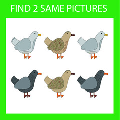 Find a pair game with funny  ducks.  Worksheet for preschool kids, kids activity sheet, printable worksheet 
