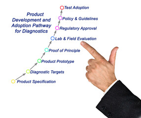 .Product Development and Adoption Pathway