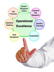 Seven characteristics of Operational Excellence