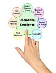 Seven characteristics of Operational Excellence