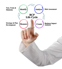 Business continuity planning (BCP) Life Cycle