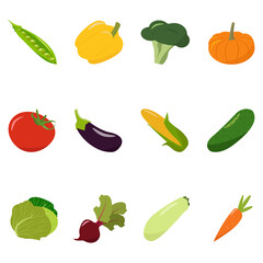 Vegetables. Set of 12 different vegetables. Vector illustration