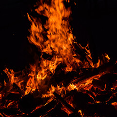 Fototapeta na wymiar Fire flames on black background, Blaze fire flame texture background, Beautifully, the fire is burning, Fire flames with wood and cow dung bonfire