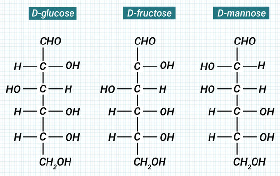 Structure of D-glucose, D-fructose and D-mannose