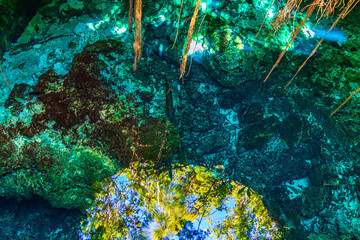 Blue turquoise water limestone cave sinkhole cenote Tajma ha Mexico.
