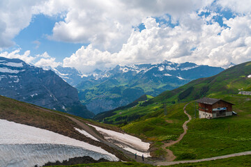 Fototapeta premium View of snow in the mountain with green grass in summer on a sunny day in switzerland, grinelward