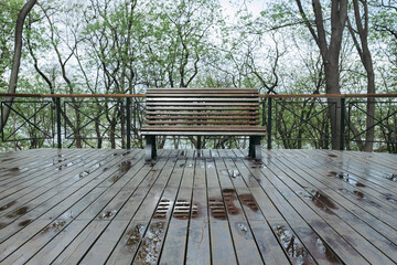 Wooden benches after the rain. Spring day in the park