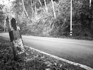 no car and no people on road, photo is black and white style