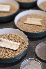 Preparing dinner. Carrot bone, wheat, plate. Slate table, close-up, dining, background, lighting. Beautiful surroundings, adventure restaurant.
