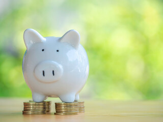 White piggy bank on gold coins stack 4 rows placed on a wooden table to save money invest for future. Concept for loan, property ladder, financial, real estate investment, taxes and bonus.