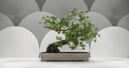bonsai tree on a white background. 3d rendering.
