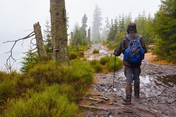 Wanderer bei nebeligem Wetter am Wald