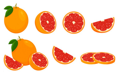 Icon Grapefruit. Set with whole fruit, slice and a half, with leaves. Isolated vector illustration in a flat style.