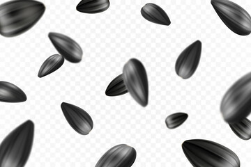 Sunflower seeds isolated seamless vector pattern. Realistic shelled seeds isolated on white background.