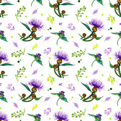 seamless watercolor pattern of wild flowers and herbs on a white background.