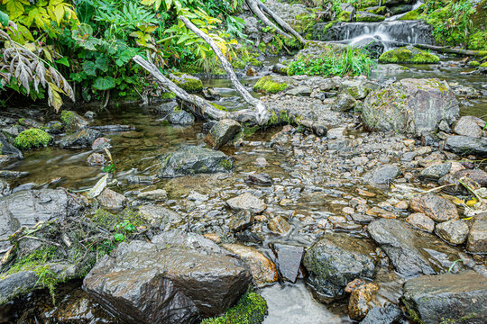 Stone bank of river on sunny summer day. Water flows down cobblestones of creek bed. Green plants grow violently from moisture, streaming through rocks