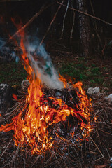 bonfire in a country house in spring