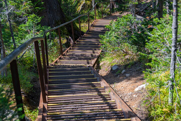 Metal pedestrian staircase in sunny forest. Trail for safe walks