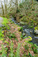 Obraz premium Rocky Des Moines Creek 11