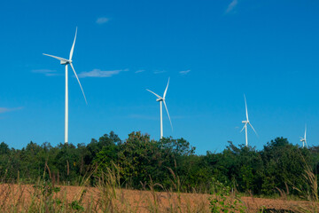 Many wind energy turbine with sunlight.
