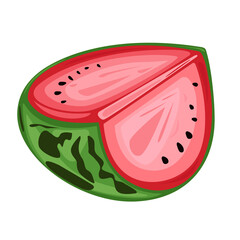 Juicy watermelon vector illustration single