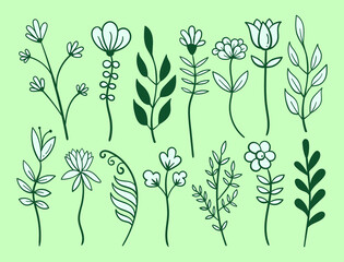 Elements hand drawn doodle floral