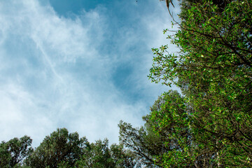 Obraz premium Miramar