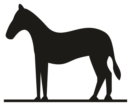 Vector standing horse animal silhouette drawing on isolated background icon symbol sign with its head horn full body legs tail logo concept illustration element domestic livestock