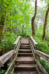 A boardwalk and stairs in Elk Falls Provincial Park in Campbell River, Vancouver Island, British Columbia